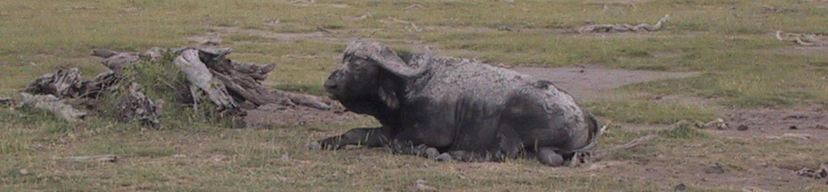 Vår resa till Sydafrika