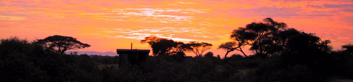 Vår resa till Sydafrika